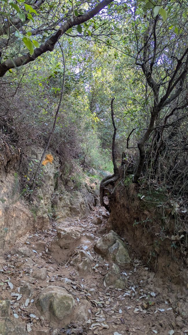 5. Etappe Camino del Norte von Santona nach Güemes