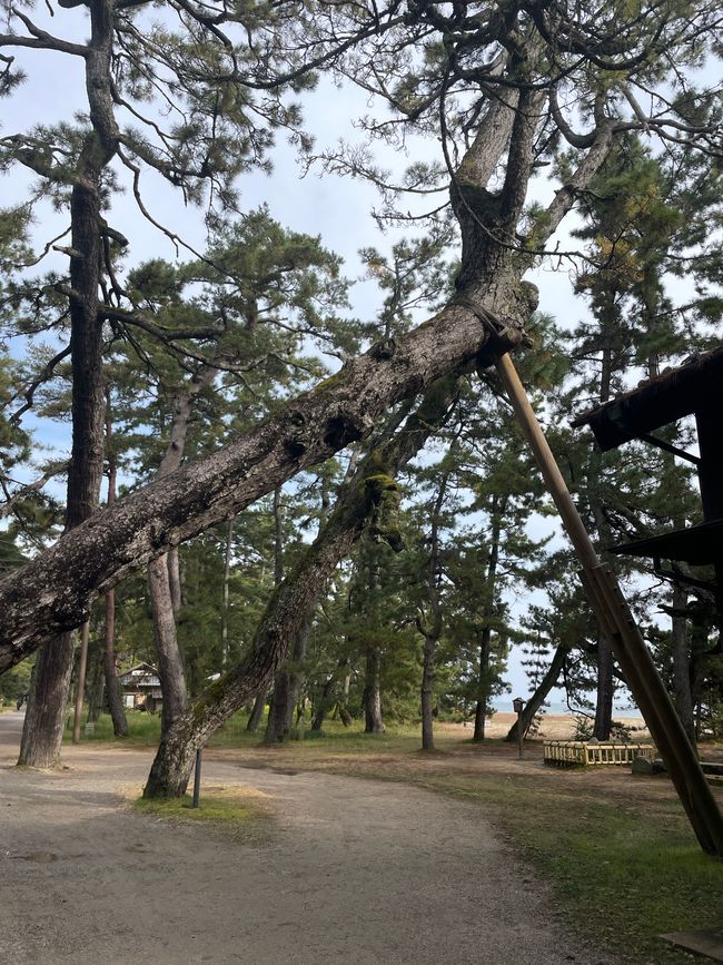 Gestützt und bewahrt