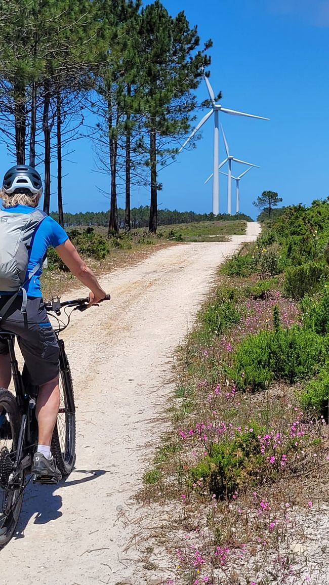 Nazaré und Umgebung