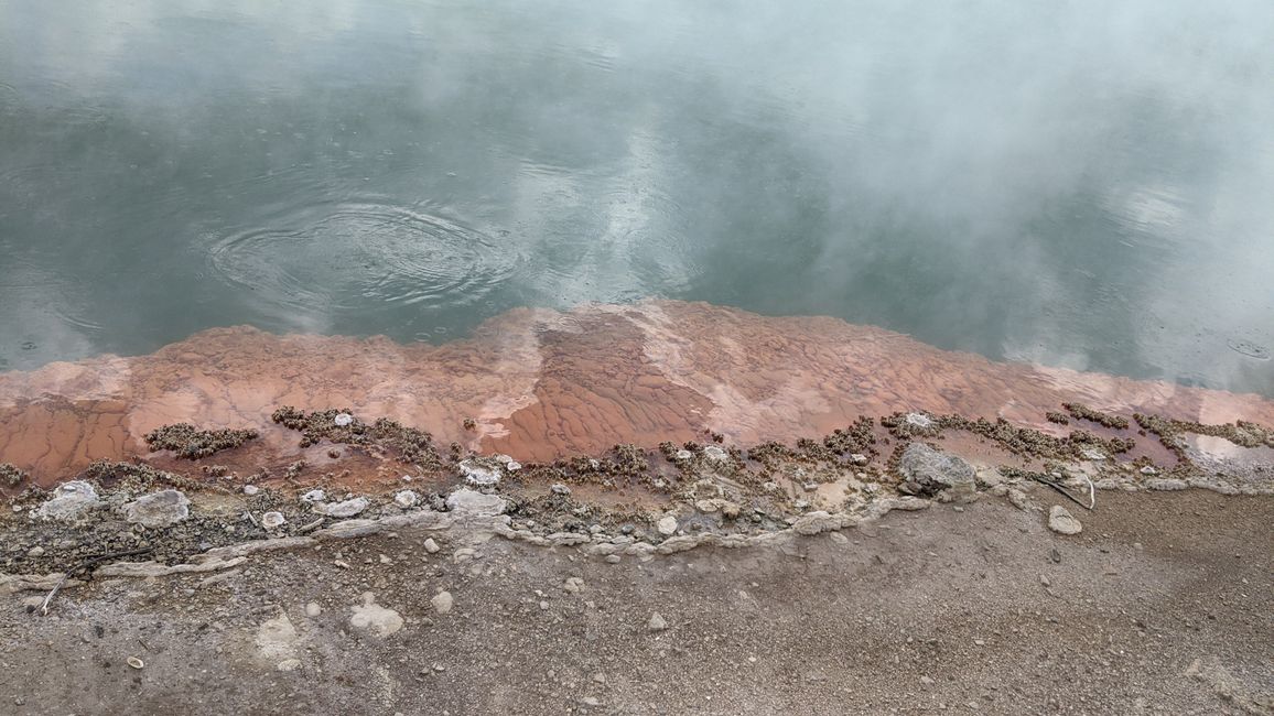 Wai-O-Tapu / Rotorua
