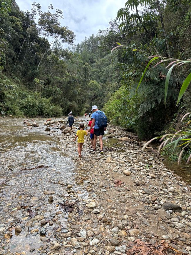 Semaine 26-28 : Au revoir, Colombie