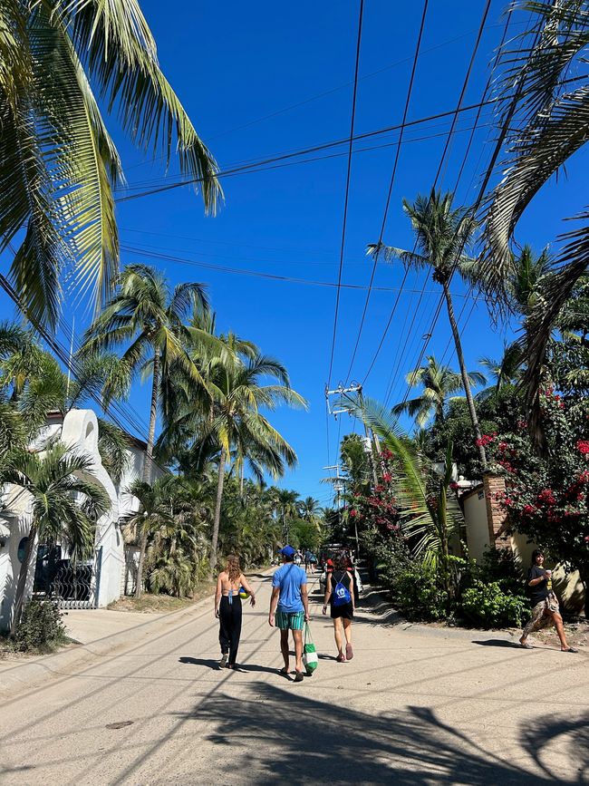 Sayulita und Puerto Vallarta… Vorweihnachtszeit