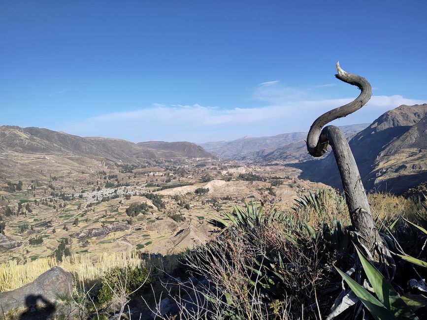 Arequipa: Beautiful Colca Canyon and the best almond peak in the world