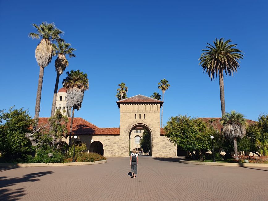 Stanford University