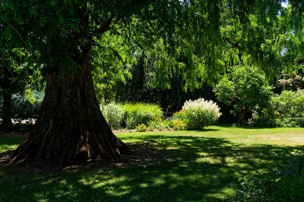 Parc Floral de La Source