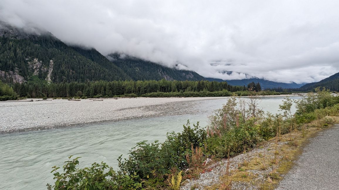 Etiqueta 16: Stewart, BC / Hyder, AK - Lago Meziadin: Parada de osos