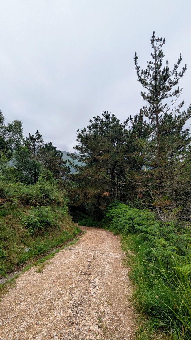 12. Etappe Camino del Norte von Pendueles nach Barro