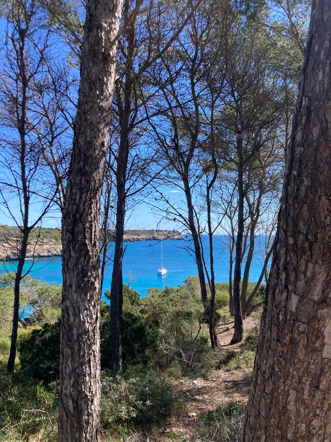 Cala Mondrago-es wird angebadet