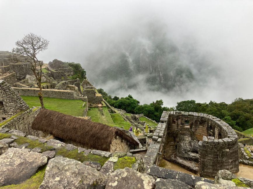 Machu Picchu - Dschungel-Abenteuer