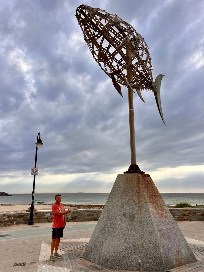 In Tarifa wird die Windrichtung von einem Fisch angezeigt