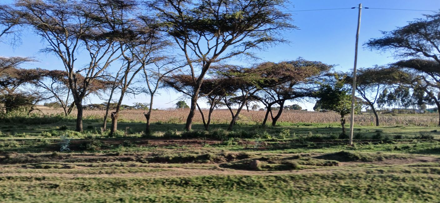 In the Land of the Maasai 2