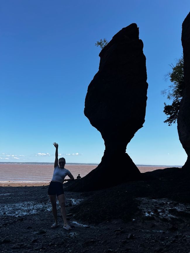 Un paseo por el lecho marino de uno de los lugares de marea más extremos del mundo