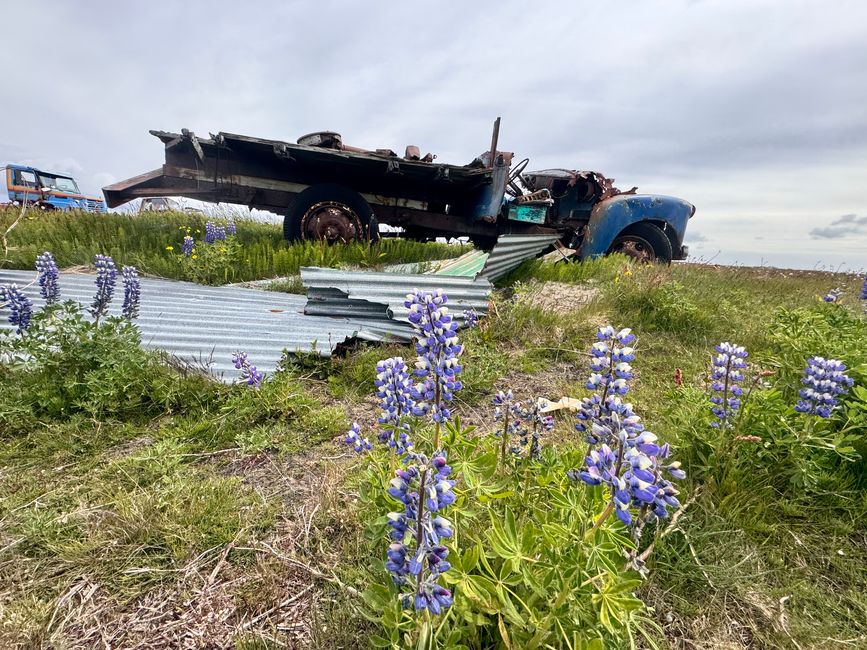 chilliger Tag rund um Selfoss