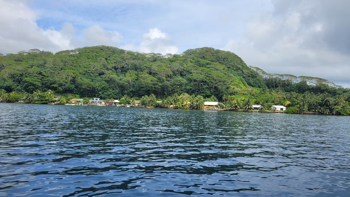 Raiatea – Along the Fa’aroa River