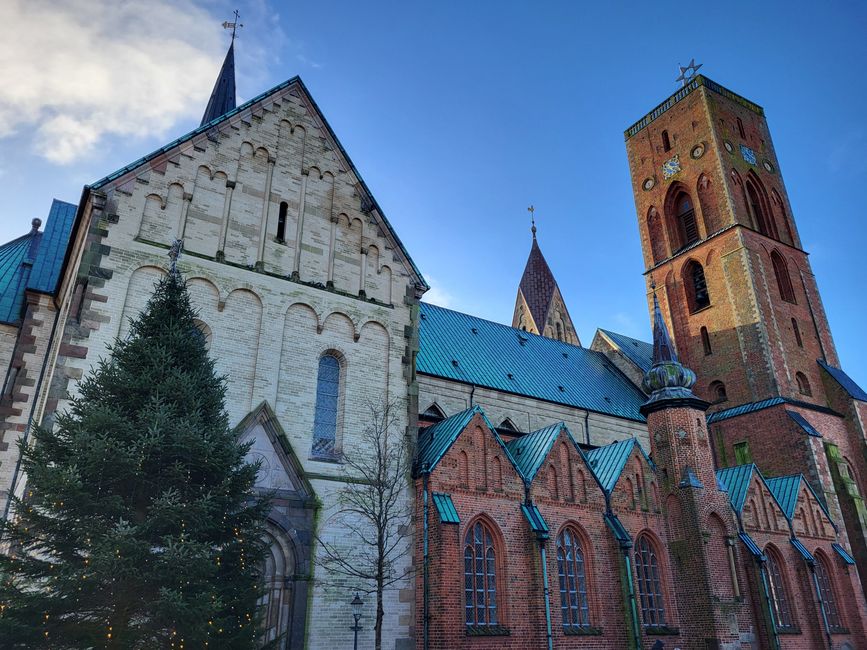 Dom Ribe