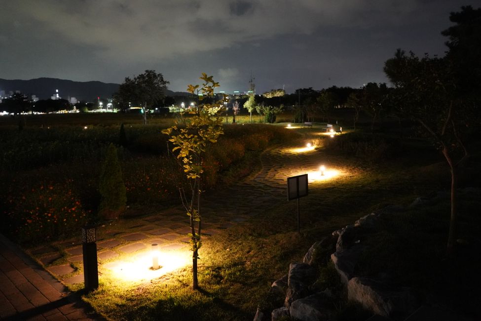 Jardín de luz