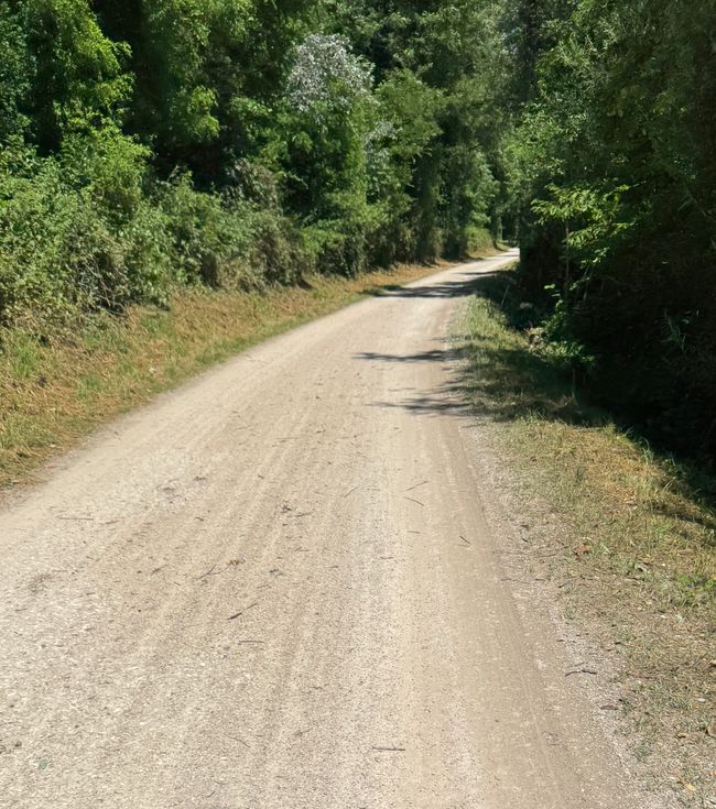 Radtour von Tscherms nach St. Leonhard in Passeier