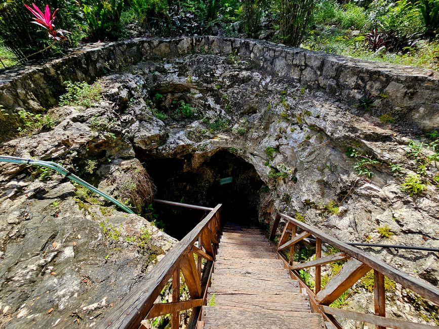 Tulum, Coba and Cenote