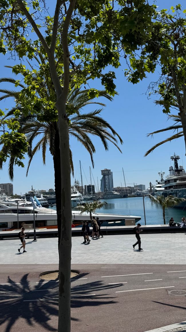 BARCELONA EINE STADT ZUM VERLIEBEN!