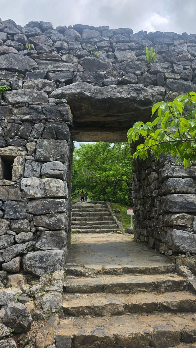 Okinawa Nuchi du takara (La vita è ciò che ci sta a cuore)