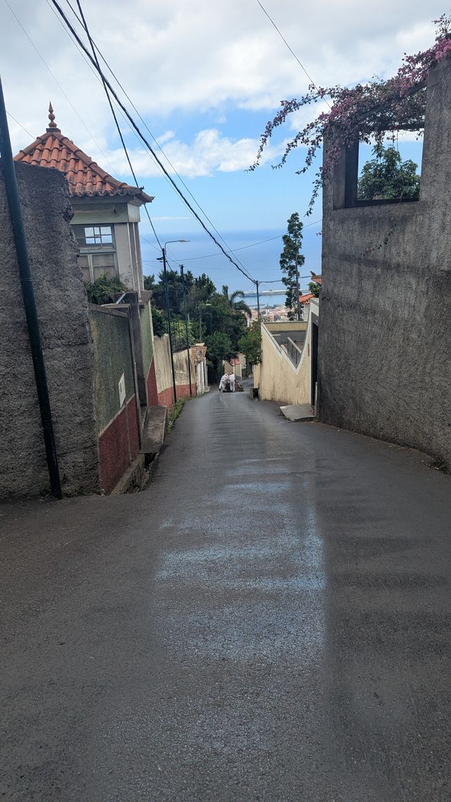 Tag 9: Funchal - mit einer rasanten Schlittenfahrt