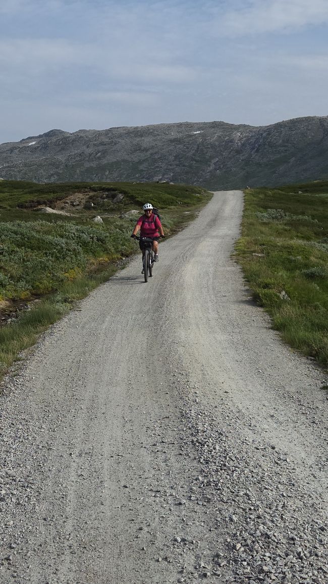 Rallavegen Etappe 1 von Haugastol nach Finse