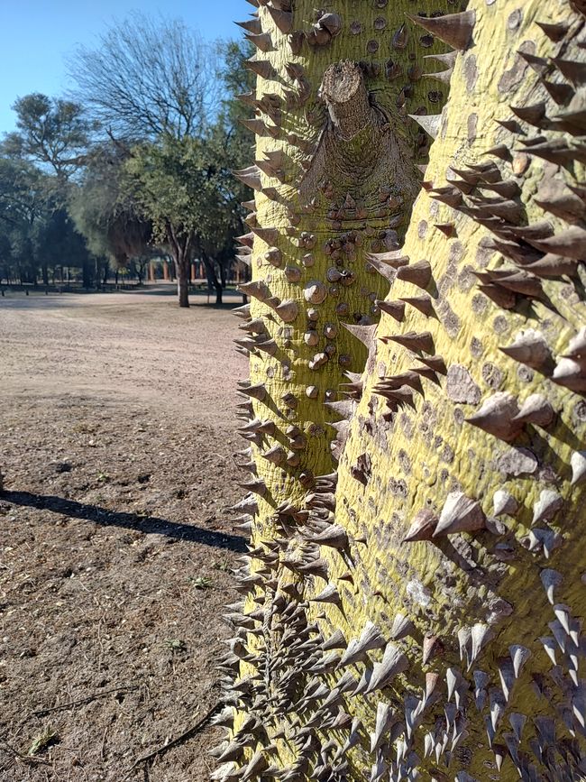 Argentina, de Córdoba a Paraguay