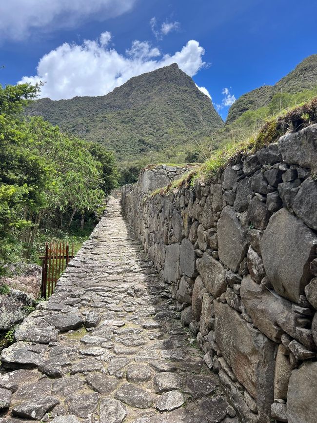 👷‍♂️Tag 26-2 (3.11.) Machu Picchu, die alte Inca-Stadt