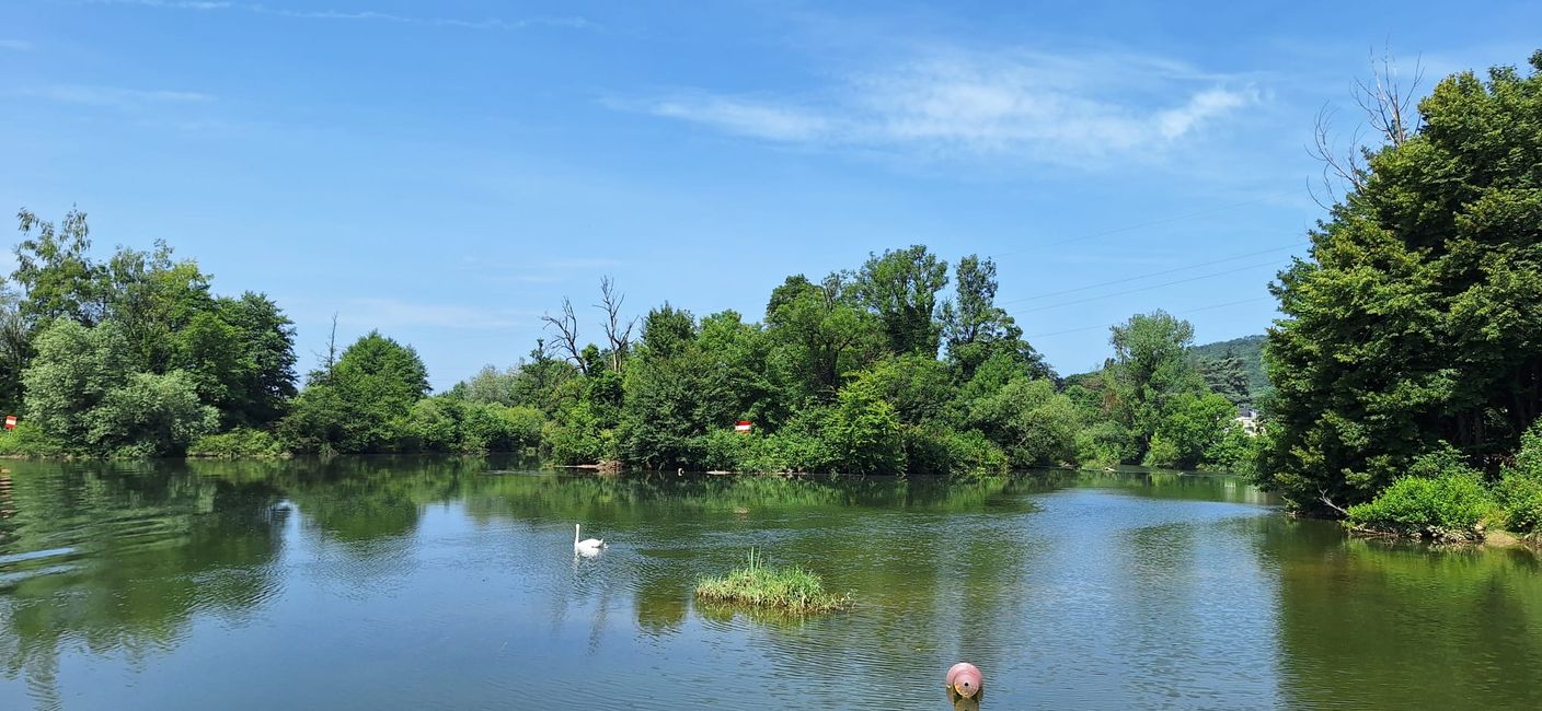 Doubs and L'Allan merge