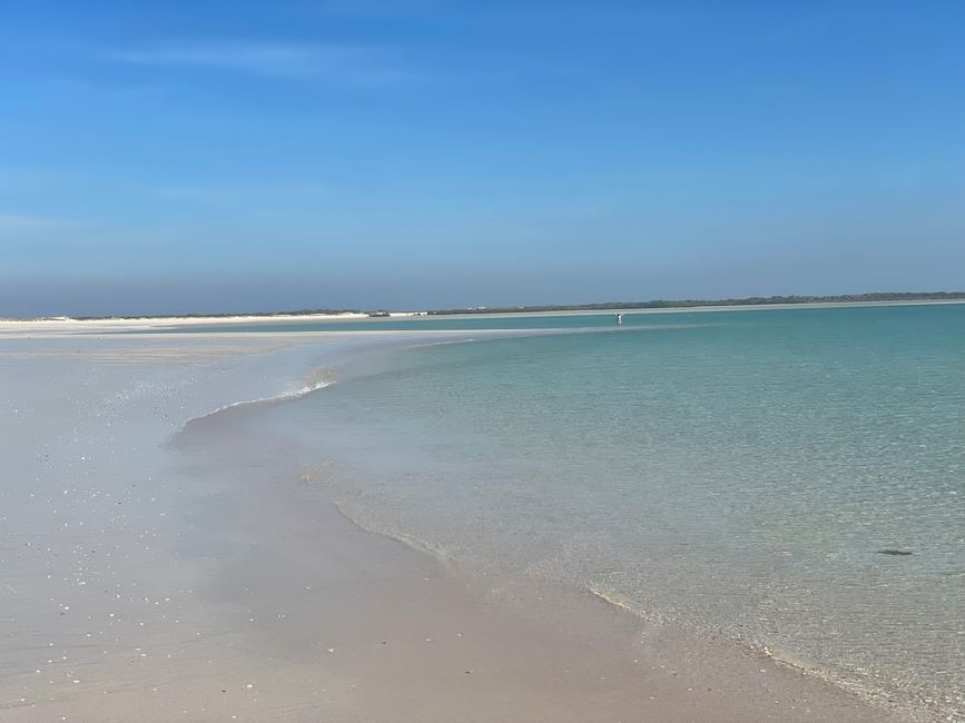… et sur un banc de sable dans la baie de Lombadina 