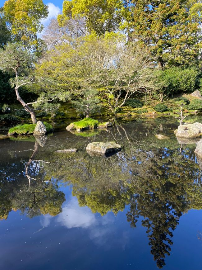 Hamilton Gardens - Japanese Garden