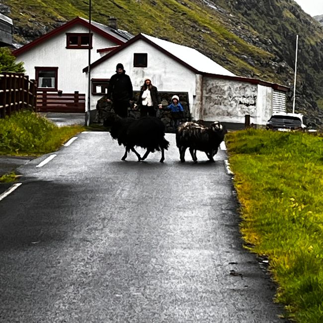 Despedida de Islandia - Llegada a las Islas Feroe