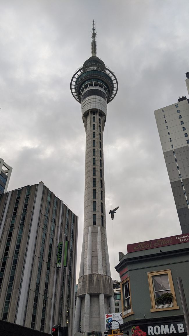 Auckland