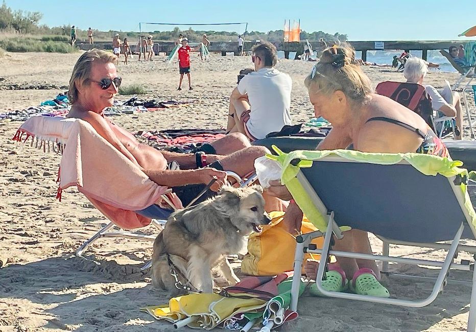 Pipo findet am Strand schnell neue Freunde.
