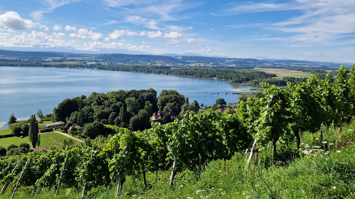 Mont Vully
