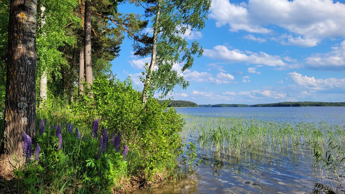 Finnland 31.Mai-14.Juni 2024/7.Juni