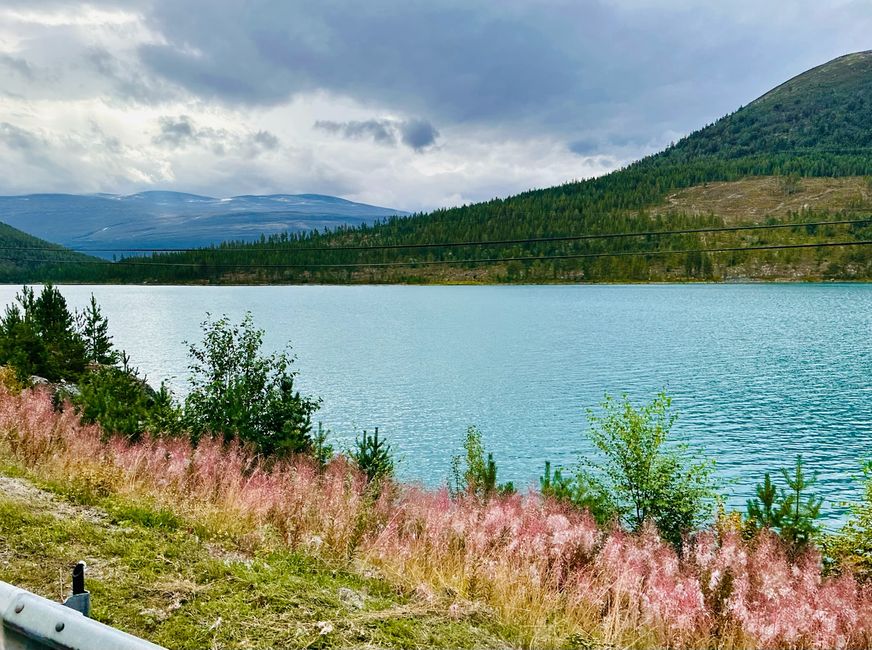 Día de viaje - Bienvenido de nuevo a Sogndal