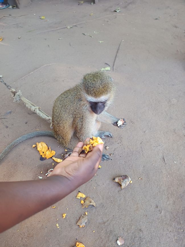 Cachoeira de Amizade/ Wasserfall der Freundschaft