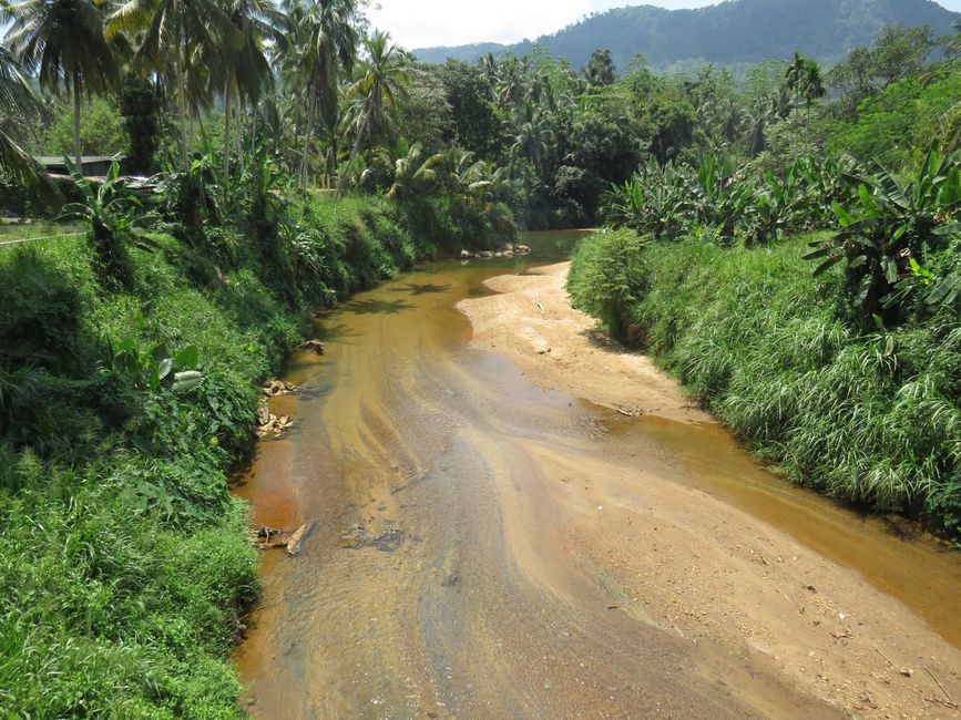 Sinharaja - l'ultima foresta pluviale dello Sri Lanka