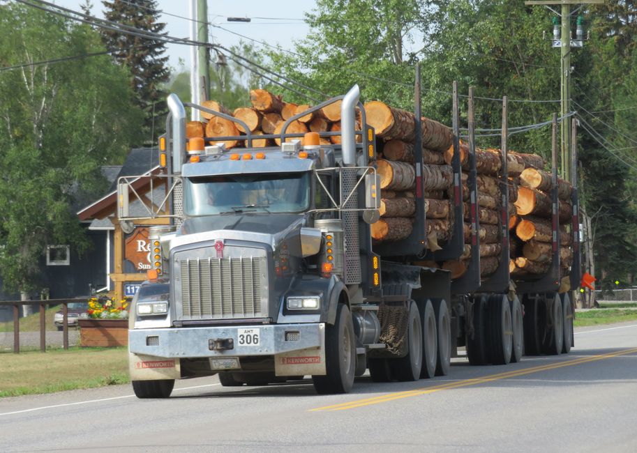 Holztansporte en masse