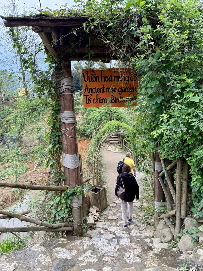 A little bit of everything