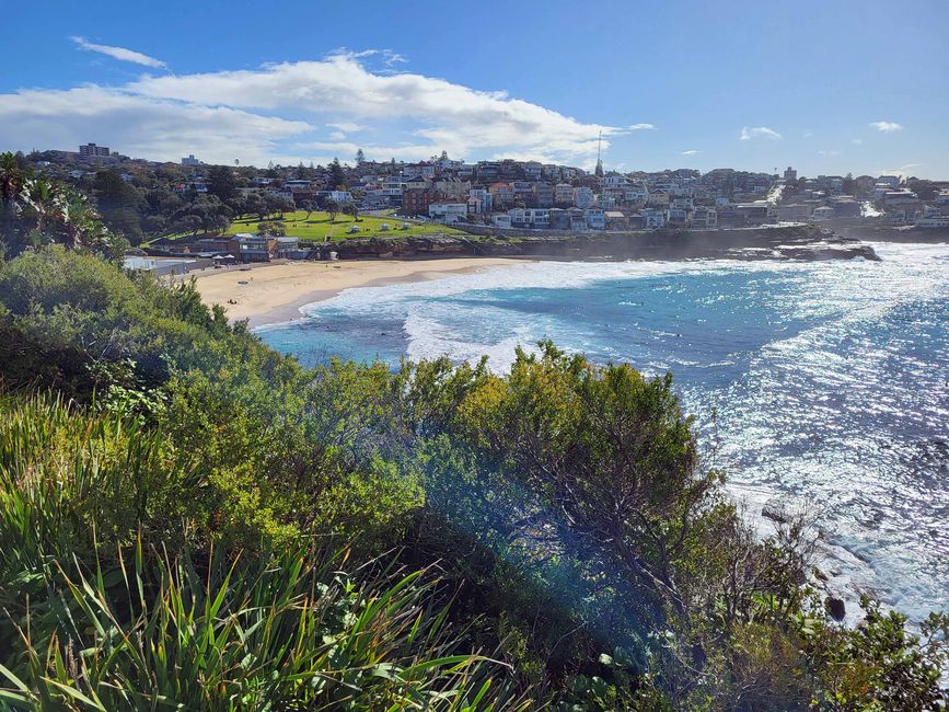 Syndney, Bondi und andere Beaches, 4. Tag