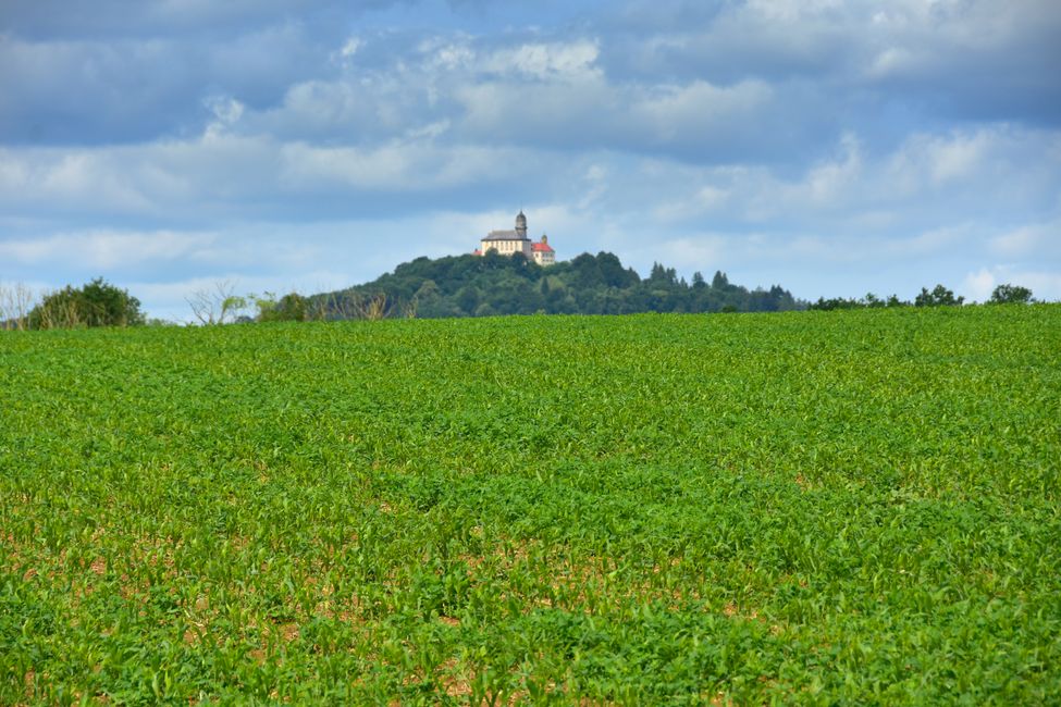 * * * S E C H T A S A F A R I - der Auerochsenweg
bei Bopfingen * * *
