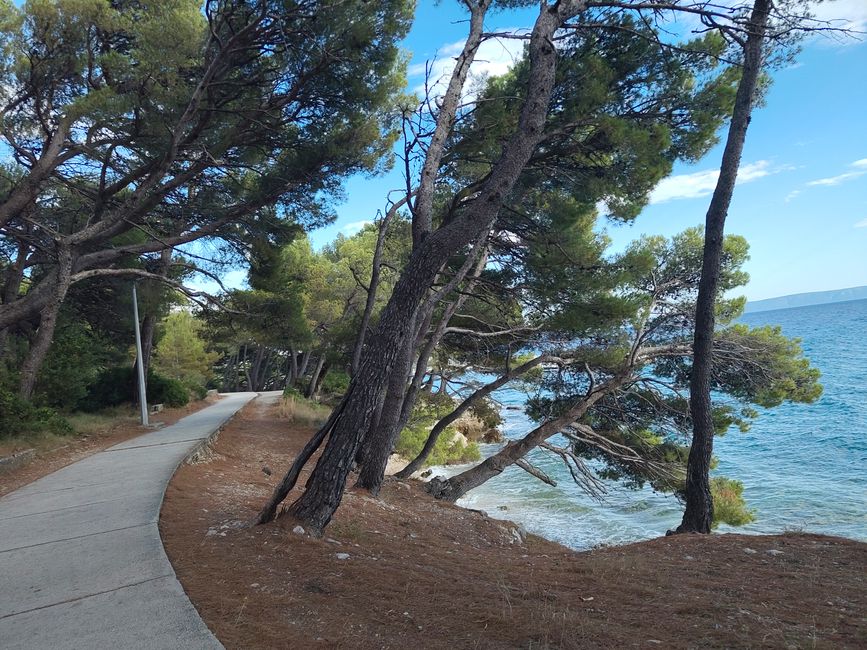 沿海公路上的十字架