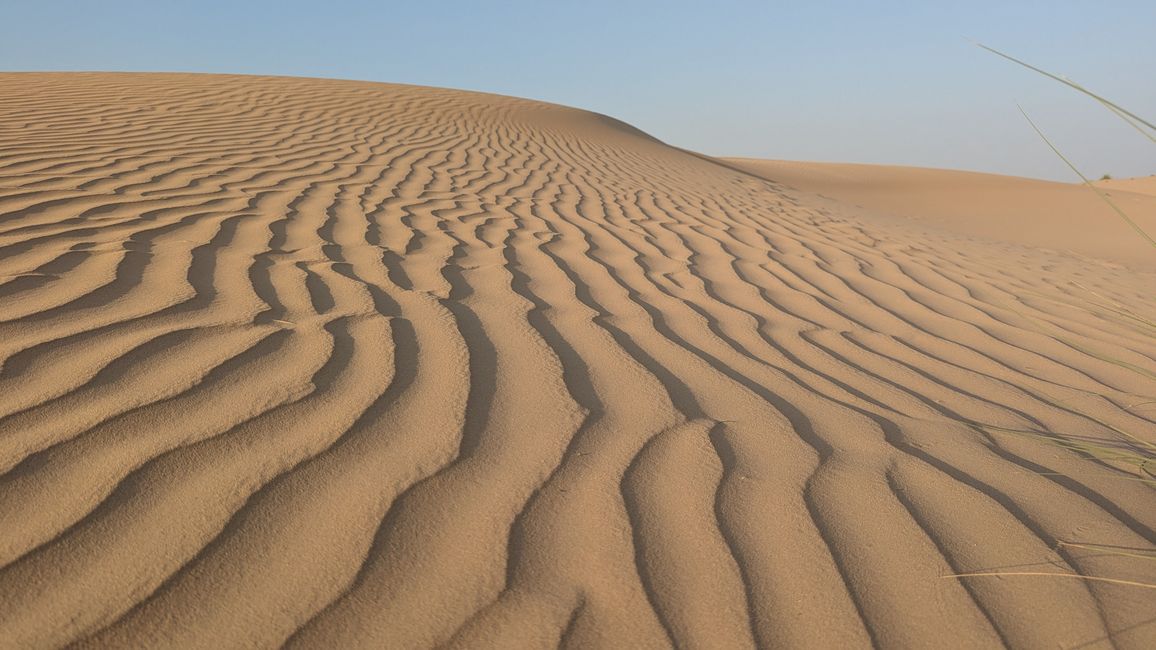 Los niños tendrán cine en el desierto