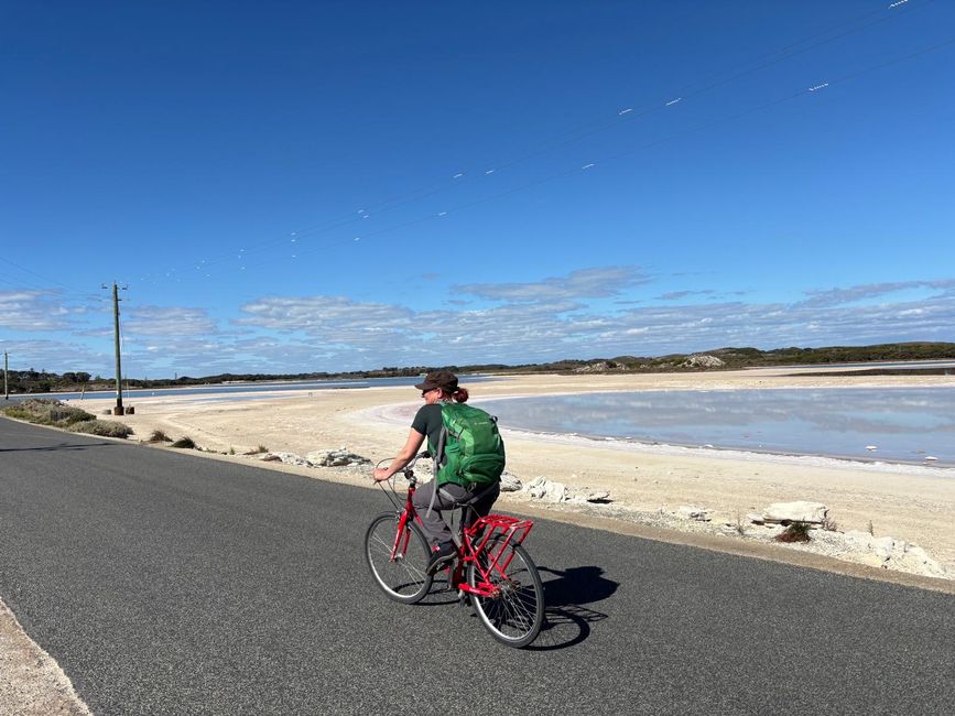 Rottnest Island
