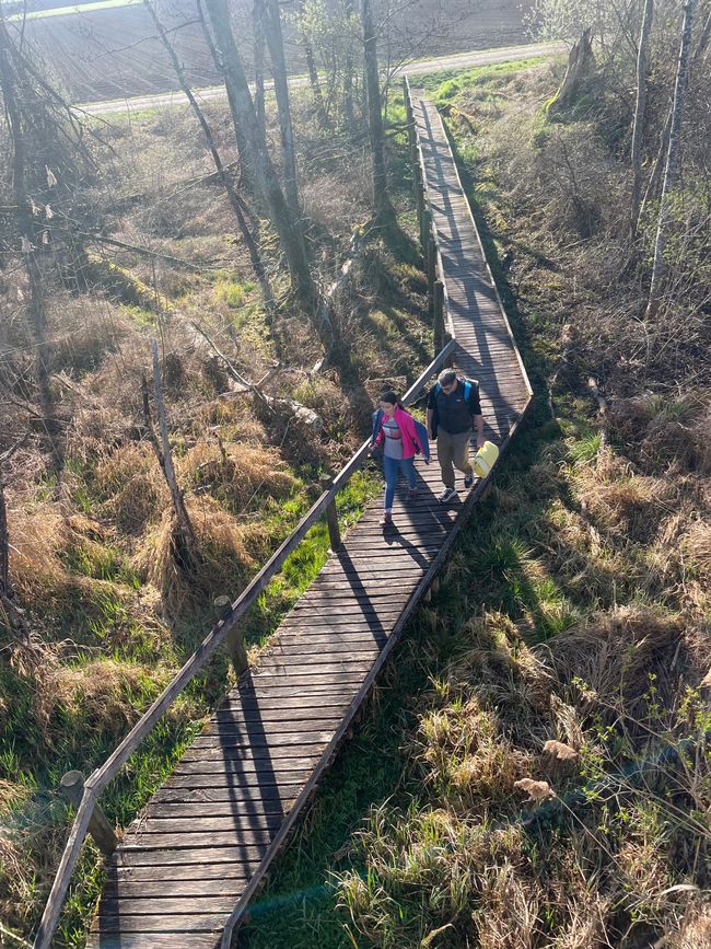 Idylle am kleinen See