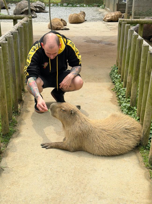 Okinawa Nuchi du takara (Life is the very thing we treasure)