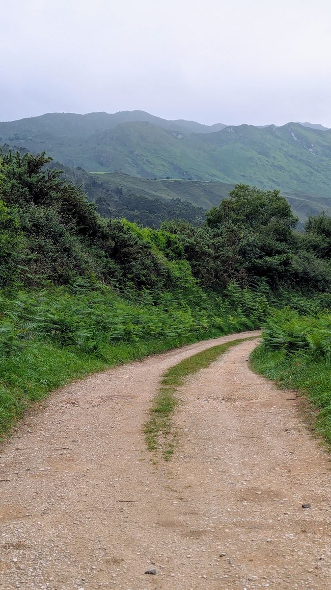 12. Etappe Camino del Norte von Pendueles nach Barro