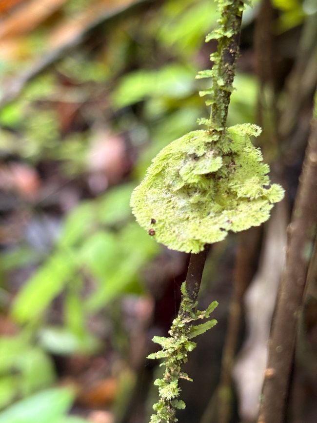 Unterwegs in Costa Rica